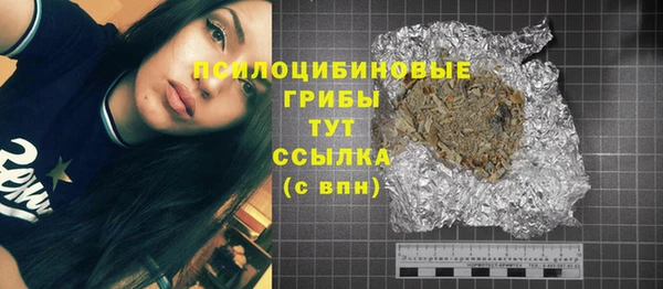 твердый Богородск