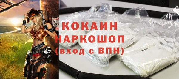 твердый Богородск