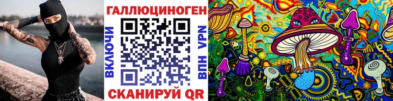 Псилоцибиновые грибы Psilocybe  Раменское 