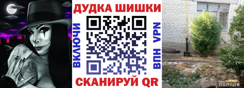 Шишки марихуана марихуана  omg   нарко площадка какой сайт  Раменское 